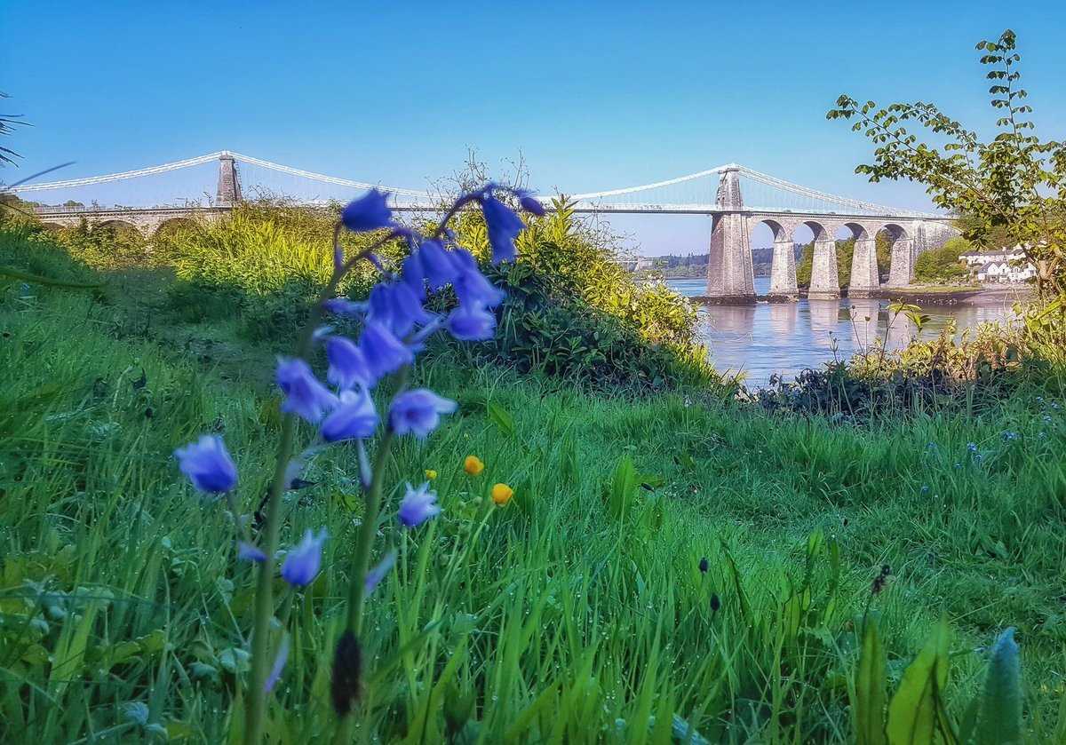 Beyond The Bluebells', Menai Suspension Bridge, Anglesey (June 2018)